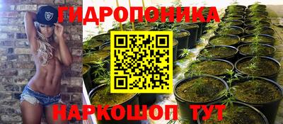 шишки Бузулук