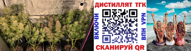 Дистиллят ТГК THC oil  Калининград 