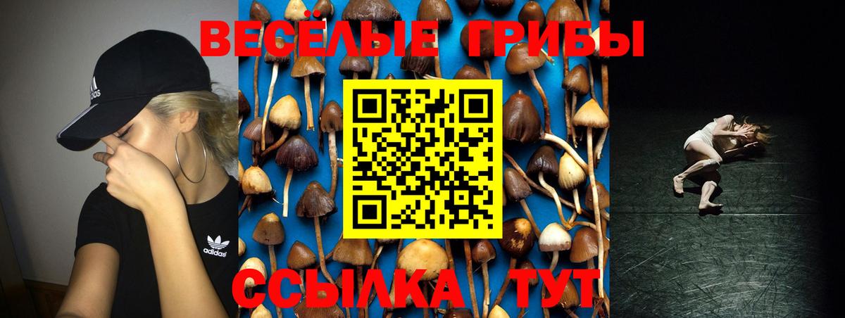 Псилоцибиновые грибы Magic Shrooms Калининград
